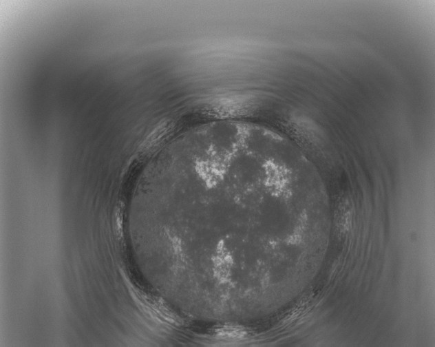 X0000059240214200510211611