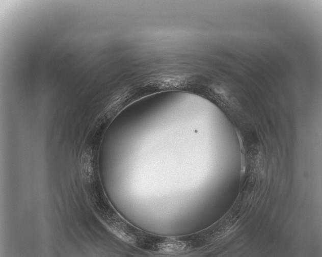 X0000059240215200510211611