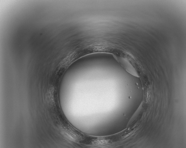 X0000059240217200510211611