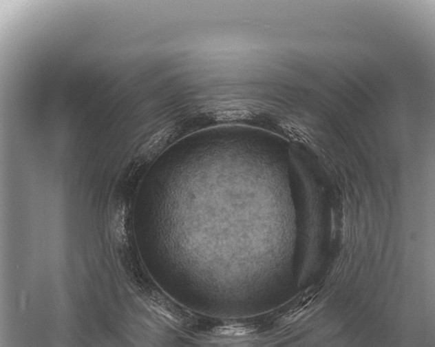 X0000059240219200510211611