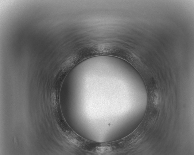 X0000059240220200510211611