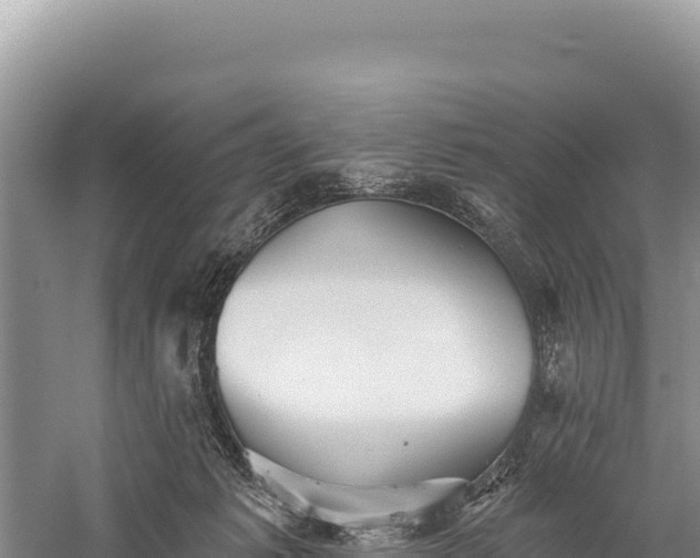 X0000059240221200510211611