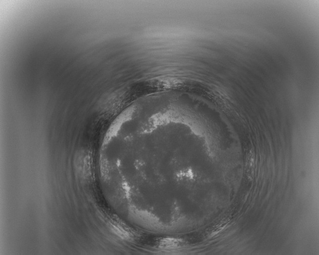 X0000059240222200510211611