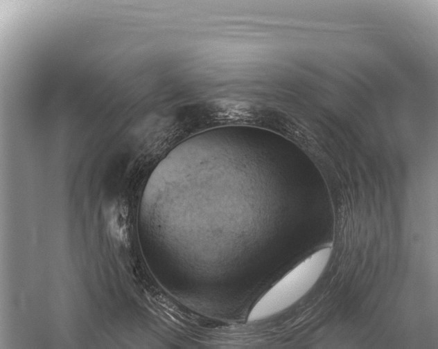 X0000059240223200510211611