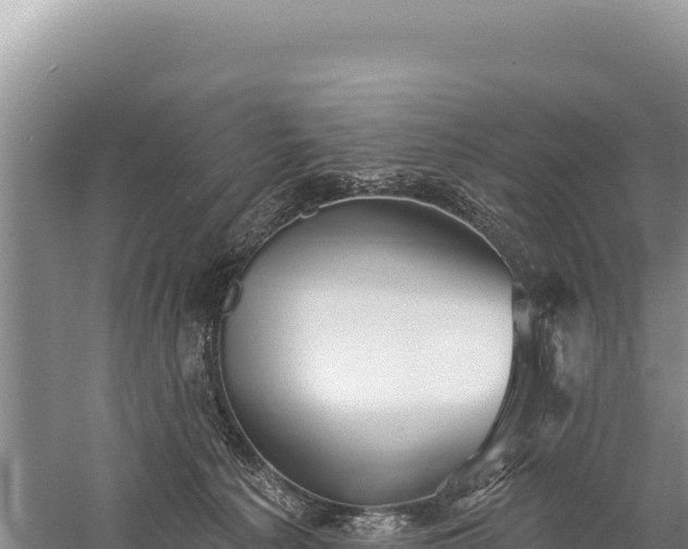 X0000059240225200510211611