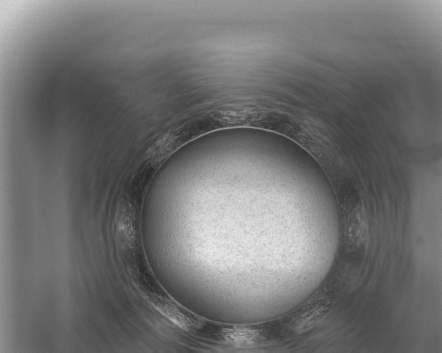 X0000059240226200510211611