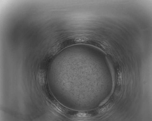 X0000059240227200510211611