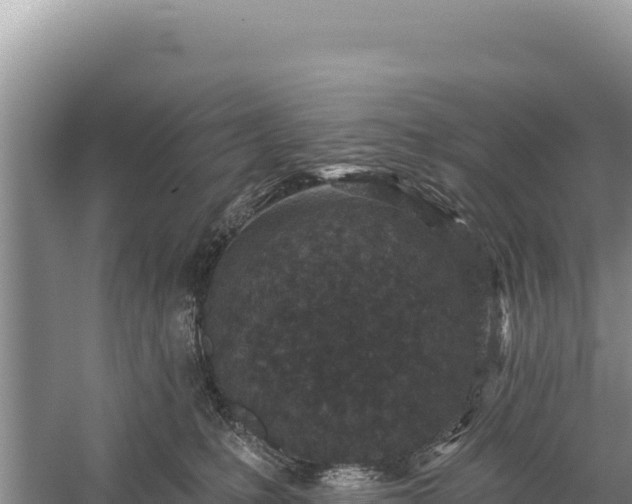 X0000059240231200510211611