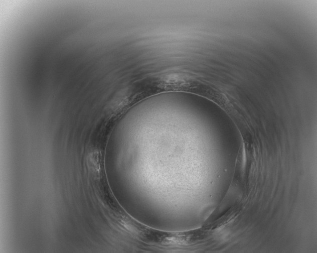 X0000059240232200510211611