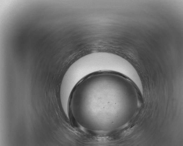 X0000059240233200510211611