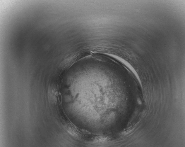 X0000059240235200510211611