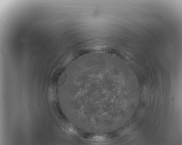 X0000059240236200510211611