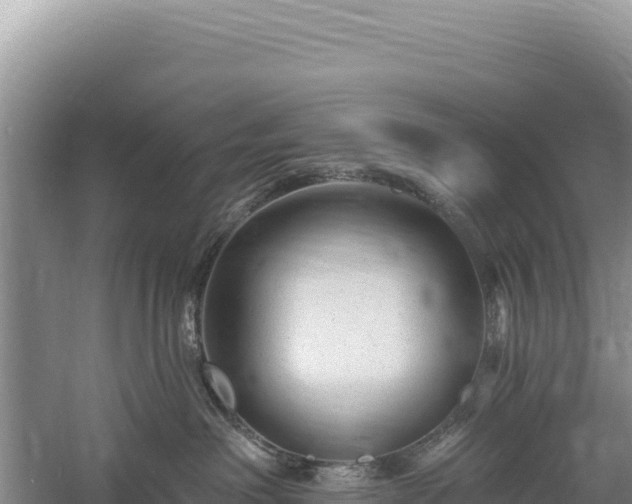 X0000059240238200510211611