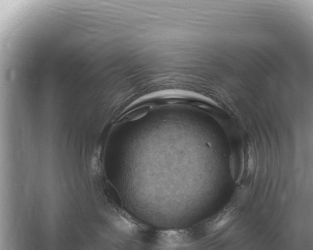 X0000059240239200510211611