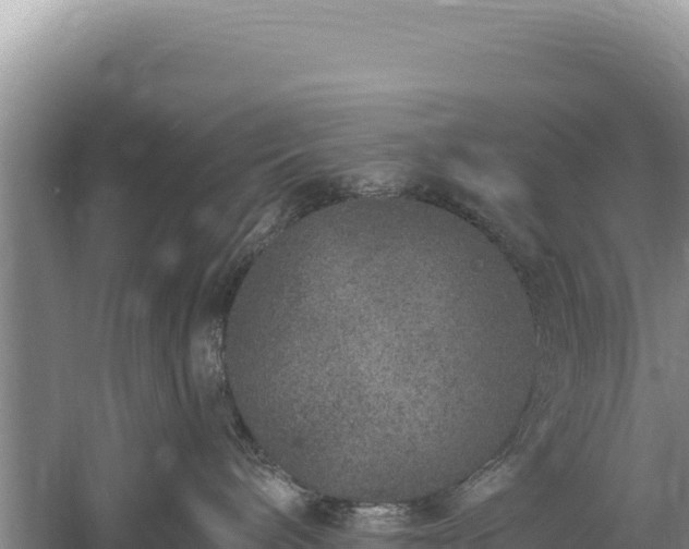 X0000059240240200510211611