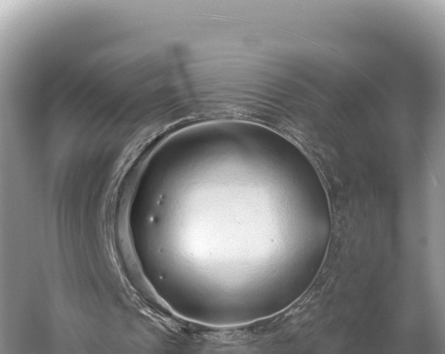 X0000059240241200510211610