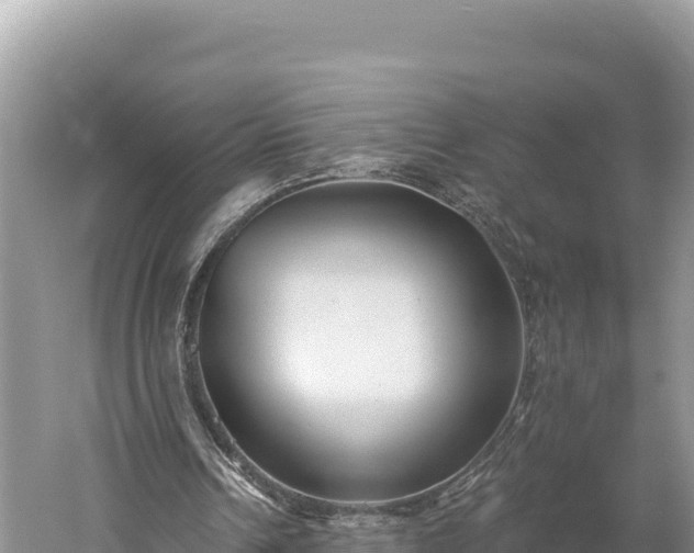 X0000059240242200510211610