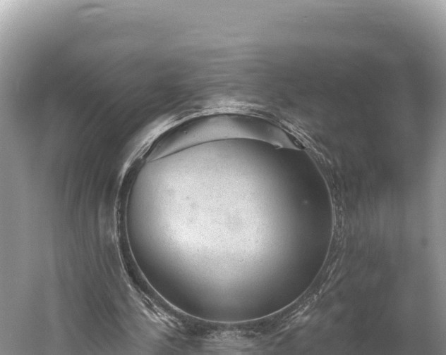 X0000059240244200510211610