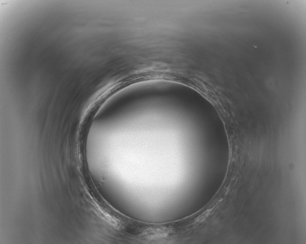 X0000059240245200510211610