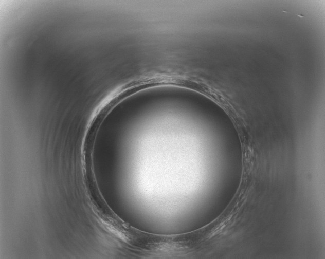 X0000059240246200510211610