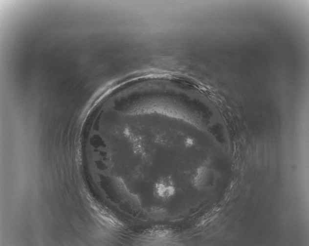 X0000059240247200510211610