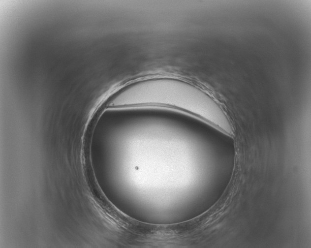 X0000059240248200510211610