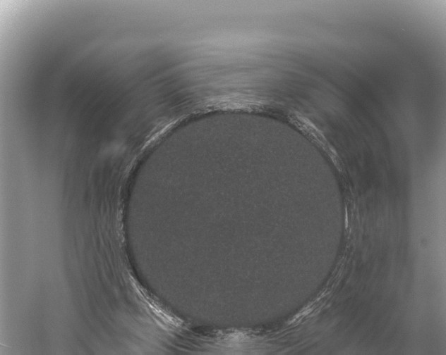 X0000059240249200510211610