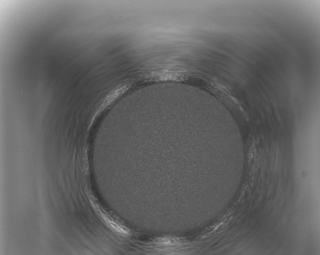 X0000059240250200510211610