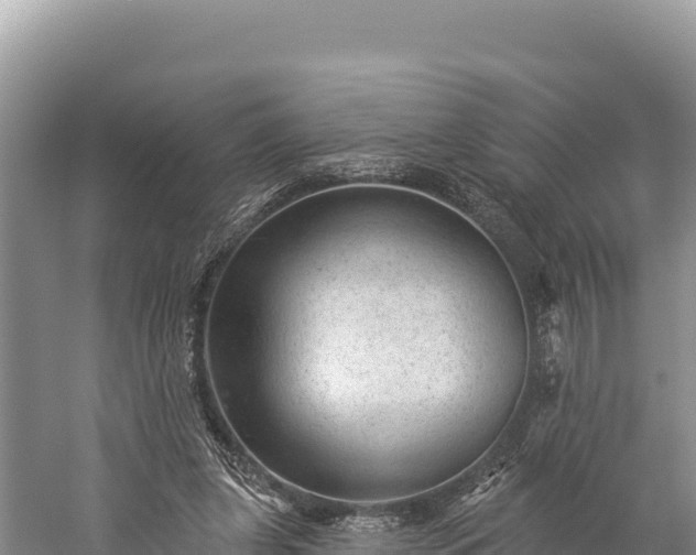 X0000059240255200510211610