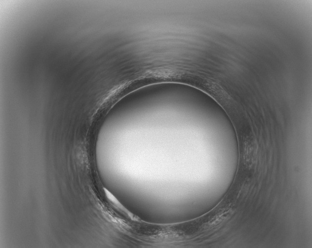 X0000059240256200510211610