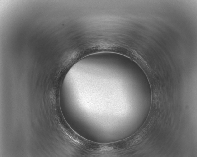 X0000059240257200510211610