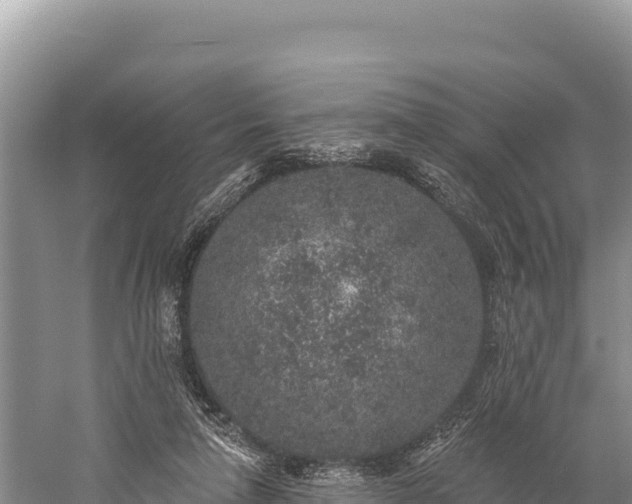 X0000059240258200510211610