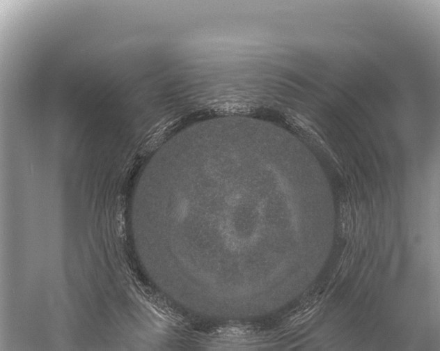 X0000059240259200510211610