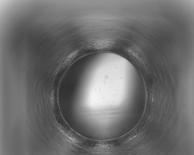 X0000059240260200510211610