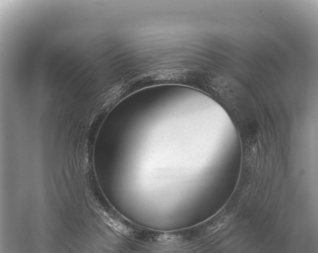 X0000059240261200510211610