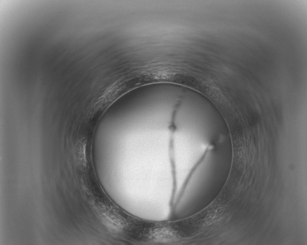 X0000059240262200510211610