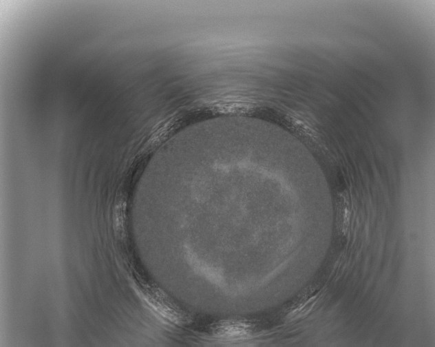 X0000059240263200510211610