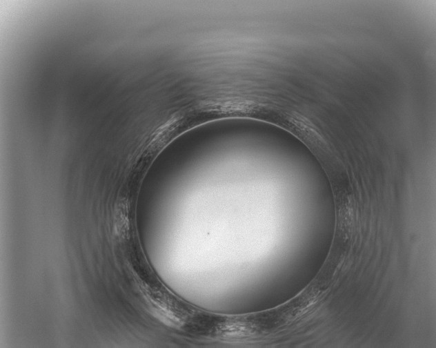 X0000059240264200510211610