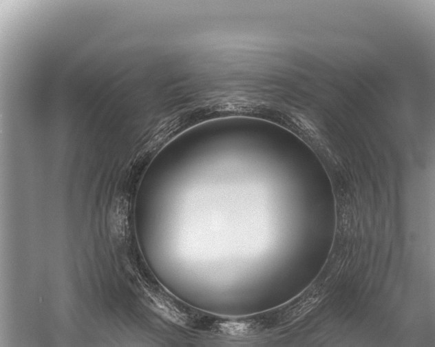 X0000059240265200510211610