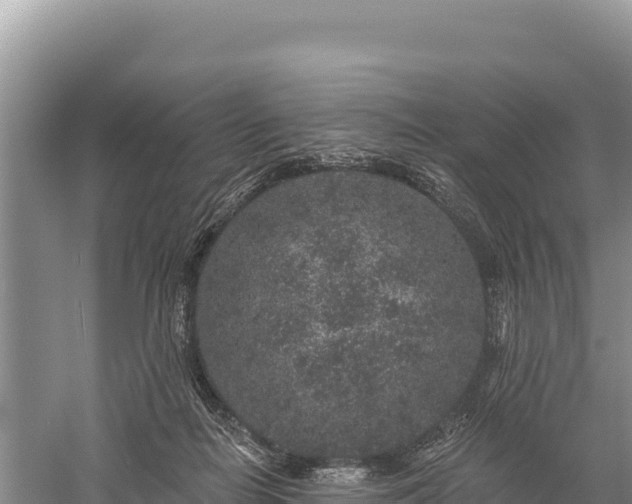 X0000059240266200510211610