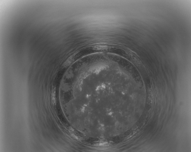 X0000059240267200510211610