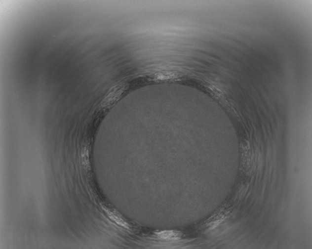 X0000059240269200510211610