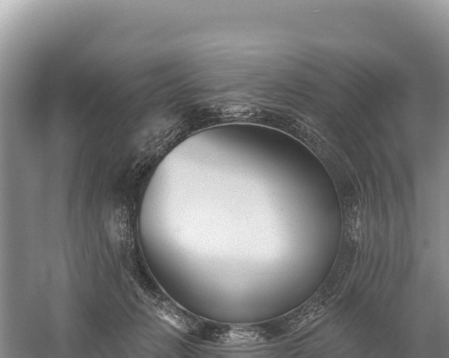 X0000059240270200510211610