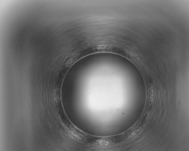 X0000059240272200510211610