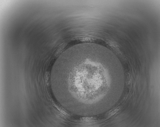 X0000059240273200510211610