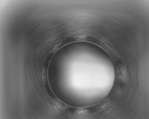 X0000059240274200510211610