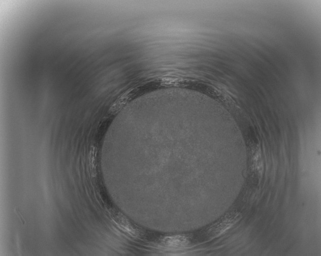 X0000059240275200510211610