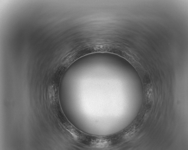 X0000059240276200510211610