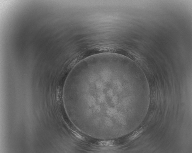 X0000059240281200510211610