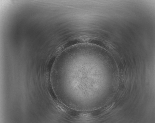 X0000059240283200510211610